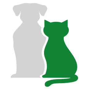 cane-grigio_gatto-verde