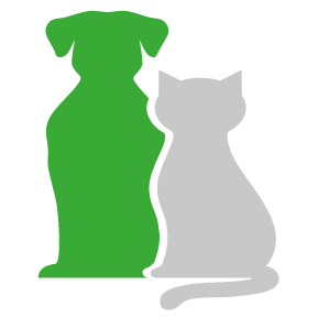 cane-verde_gatto-grigio