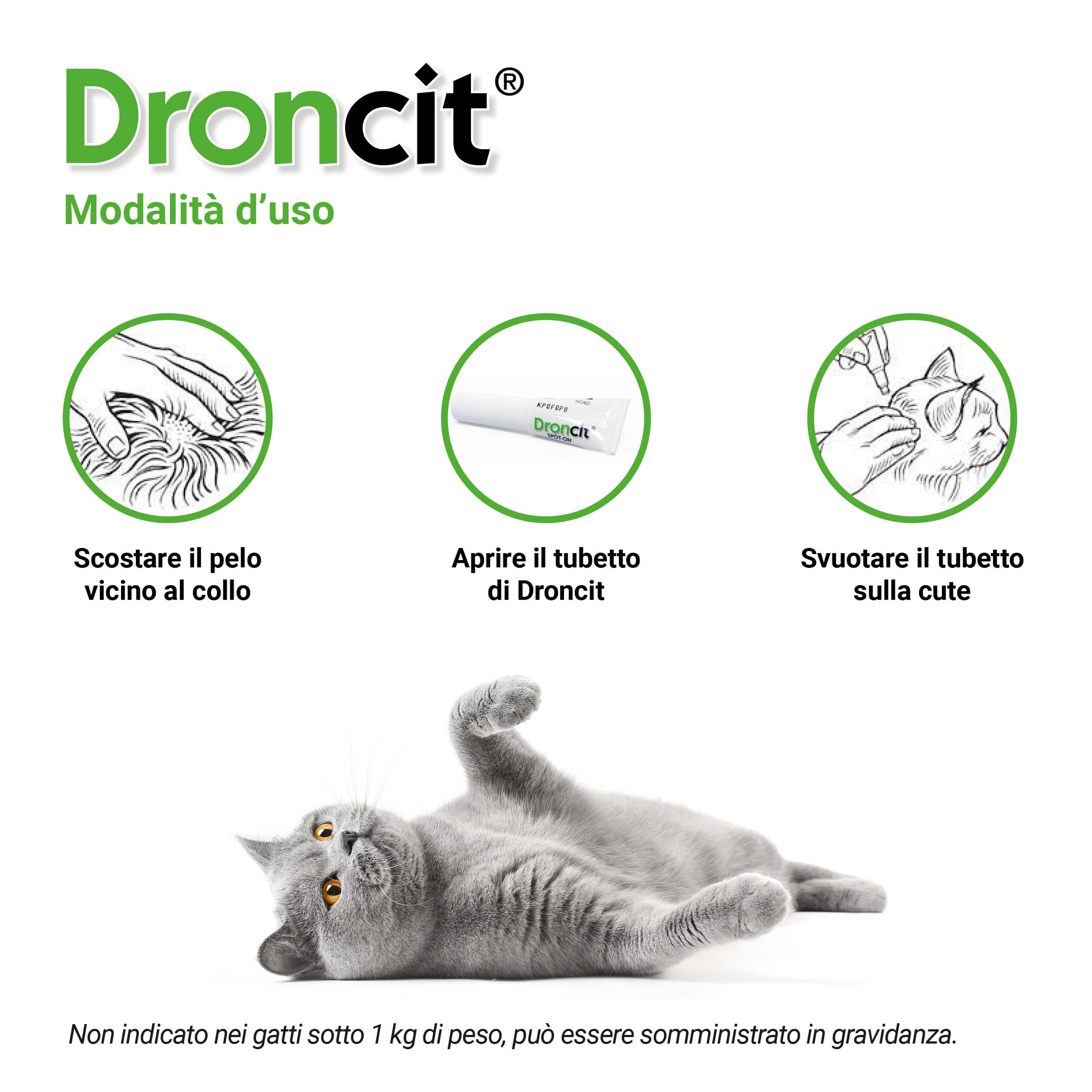 droncit spot on 2 gatto istruzioni copia
